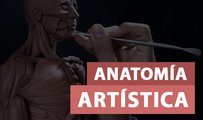 Header Anatomía Artística Movil